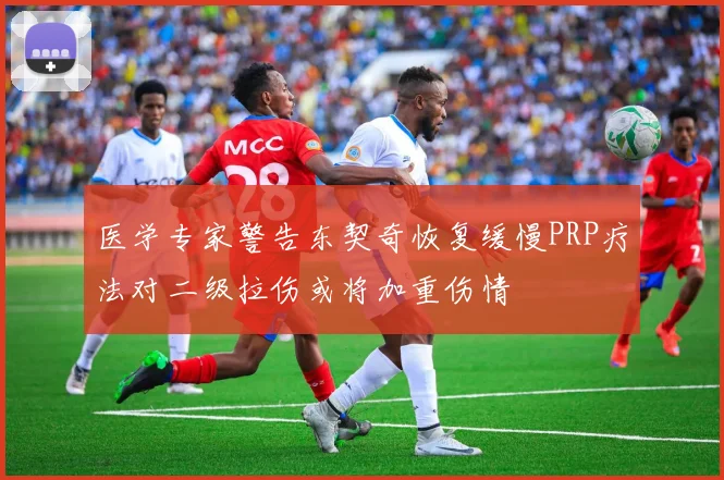 医学专家警告东契奇恢复缓慢PRP疗法对二级拉伤或将加重伤情
