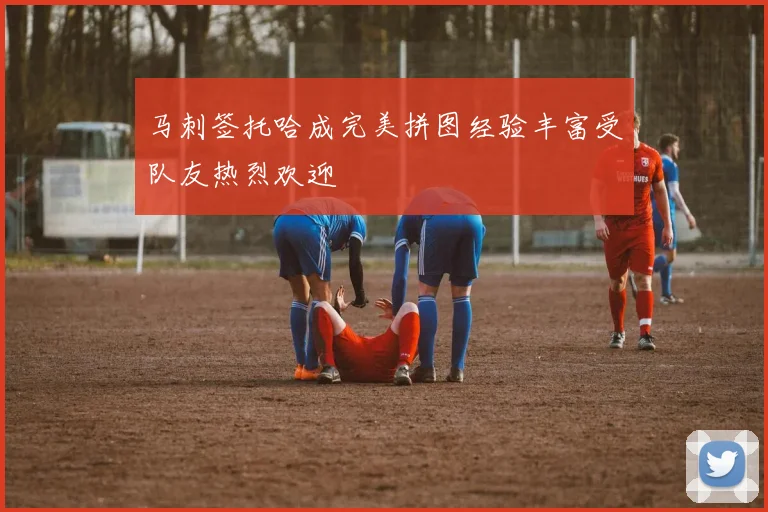 马刺签托哈成完美拼图经验丰富受队友热烈欢迎