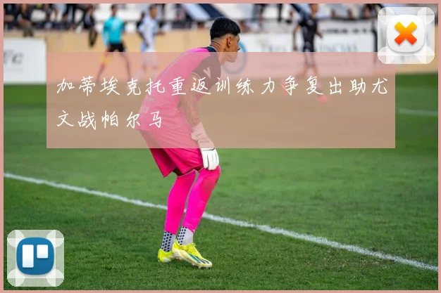 加蒂埃克托重返训练力争复出助尤文战帕尔马